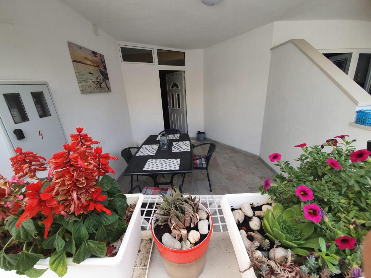 Apartman Luxury Oasis